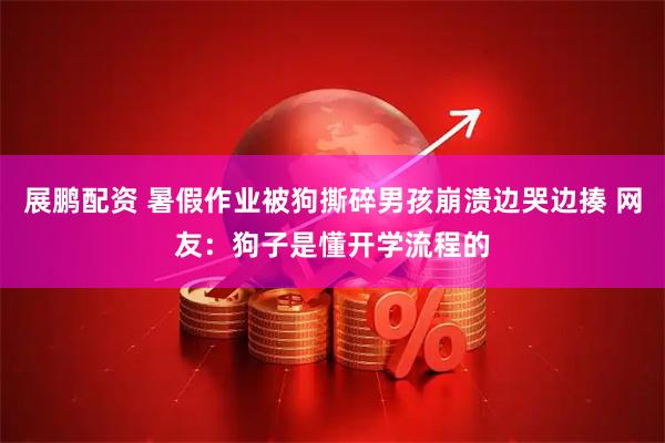 展鹏配资 暑假作业被狗撕碎男孩崩溃边哭边揍 网友：狗子是懂开学流程的