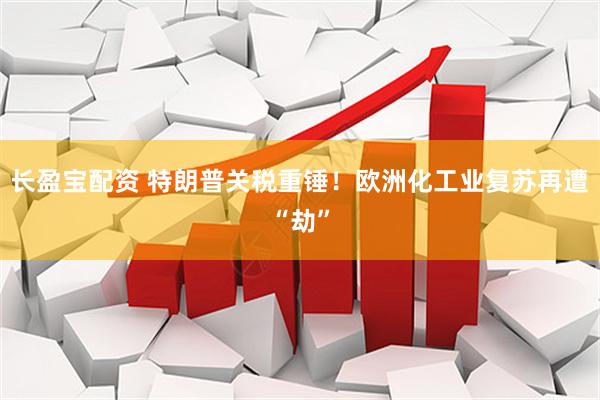 长盈宝配资 特朗普关税重锤！欧洲化工业复苏再遭“劫”