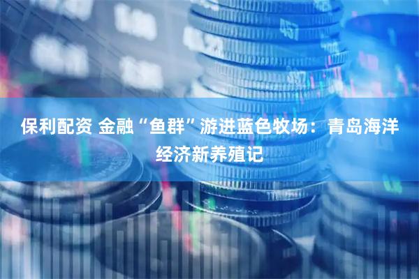 保利配资 金融“鱼群”游进蓝色牧场：青岛海洋经济新养殖记