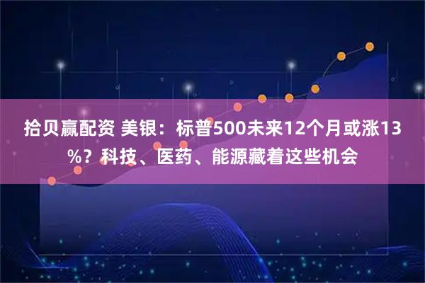 拾贝赢配资 美银：标普500未来12个月或涨13%？科技、医药、能源藏着这些机会