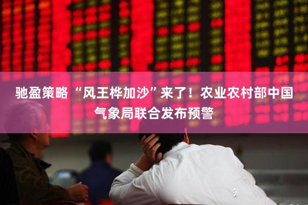 驰盈策略 “风王桦加沙”来了！农业农村部中国气象局联合发布预警