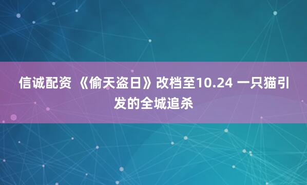 信诚配资 《偷天盗日》改档至10.24 一只猫引发的全城追杀