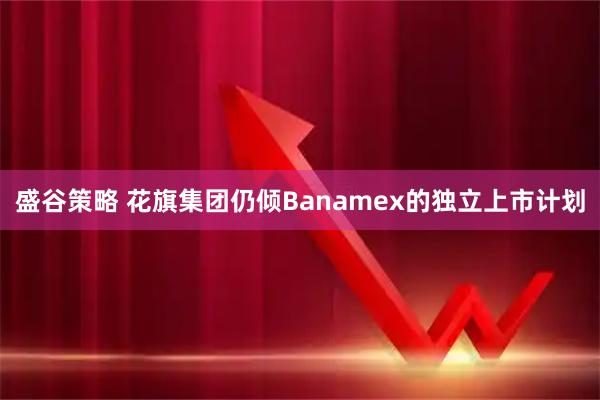盛谷策略 花旗集团仍倾Banamex的独立上市计划
