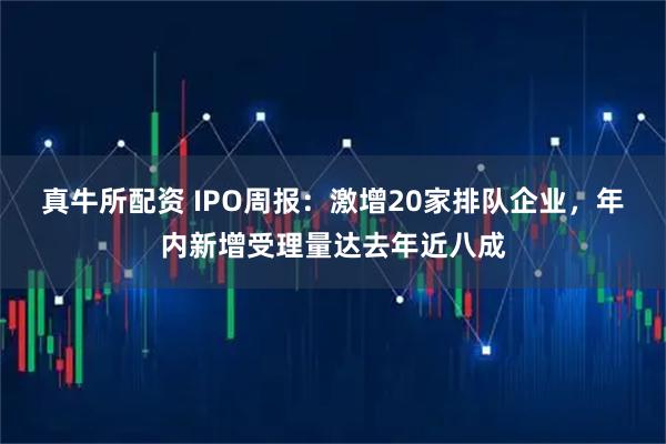 真牛所配资 IPO周报：激增20家排队企业，年内新增受理量达去年近八成