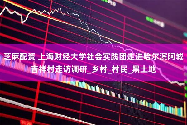 芝麻配资 上海财经大学社会实践团走进哈尔滨阿城吉祥村走访调研_乡村_村民_黑土地