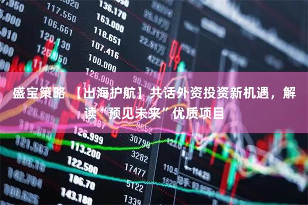 盛宝策略 【出海护航】共话外资投资新机遇，解读“预见未来”优质项目
