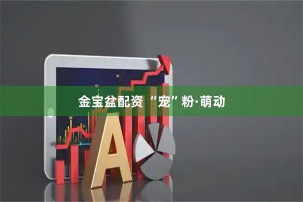 金宝盆配资 “宠”粉·萌动