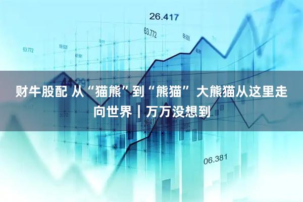 财牛股配 从“猫熊”到“熊猫” 大熊猫从这里走向世界｜万万没想到